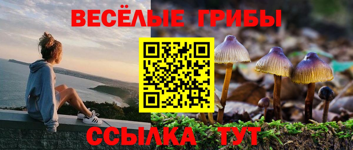 Кемерово  Псилоцибиновые грибы Psilocybine cubensis  Вход с VPN 